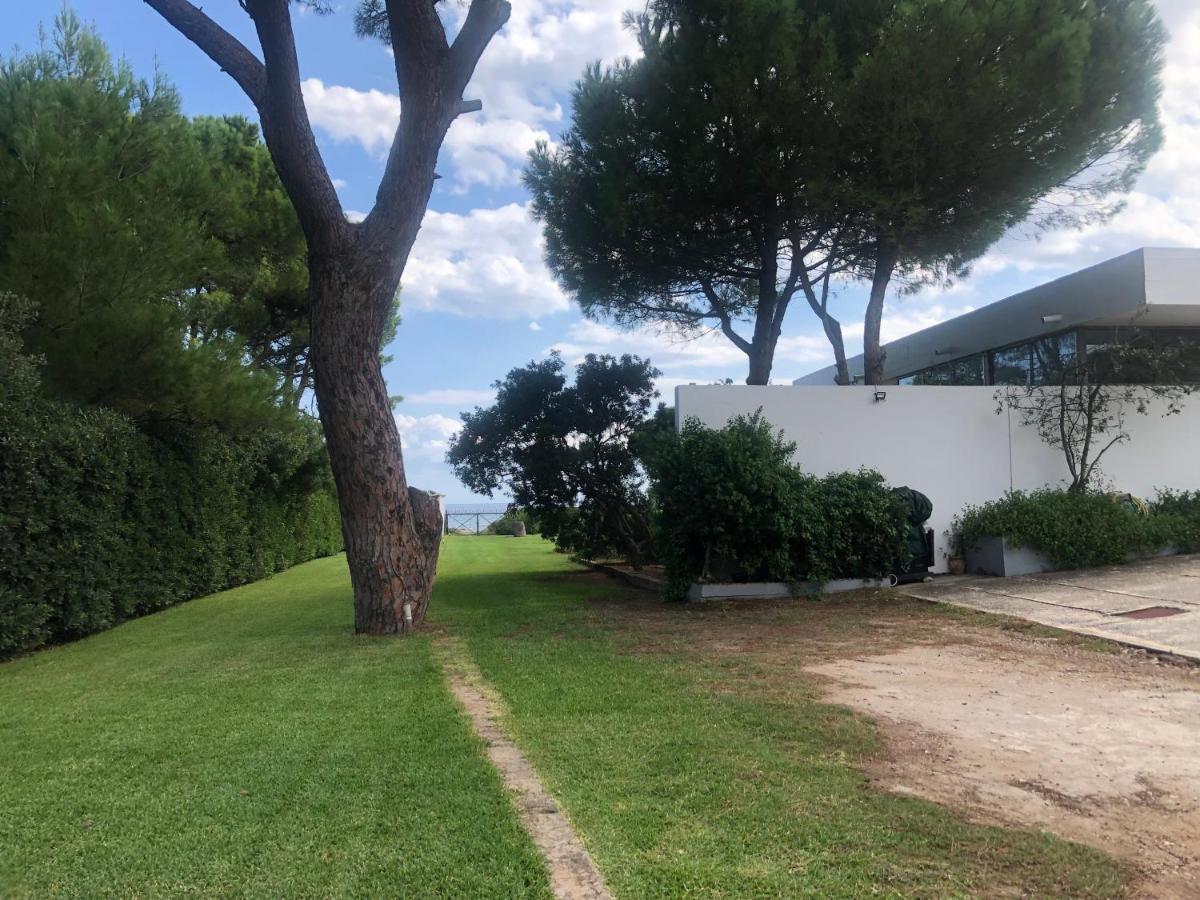 Beachfront Villa Hoopoe Schinias, Marathon Exterior foto
