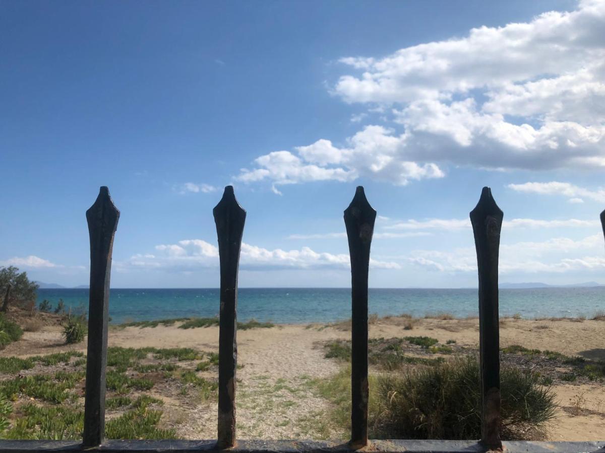 Beachfront Villa Hoopoe Schinias, Marathon Exterior foto